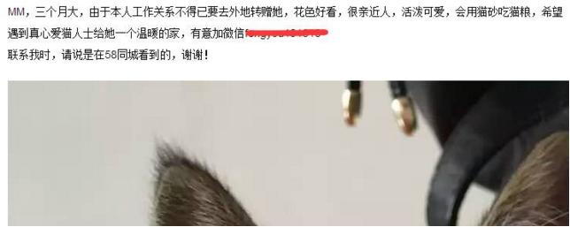 信息流爆炸時(shí)代，流量分散，玩轉(zhuǎn)吸粉，這些套路你得會(huì) 經(jīng)驗(yàn)心得 第1張