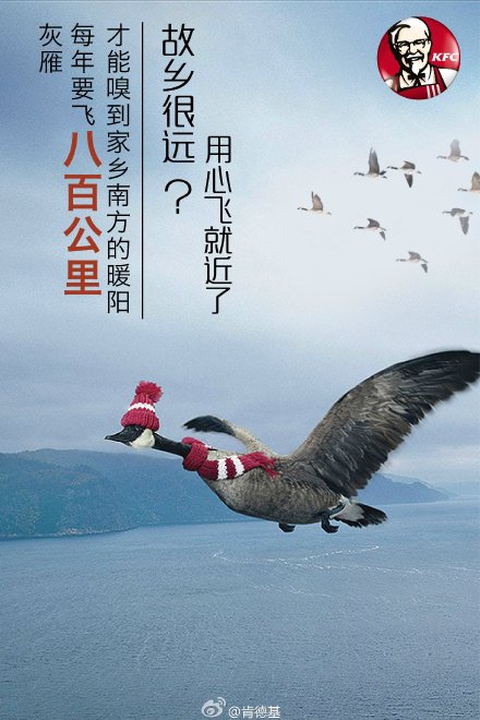 分析了2000張創(chuàng)意海報(bào)，找出讓你快速掌握做海報(bào)的套路