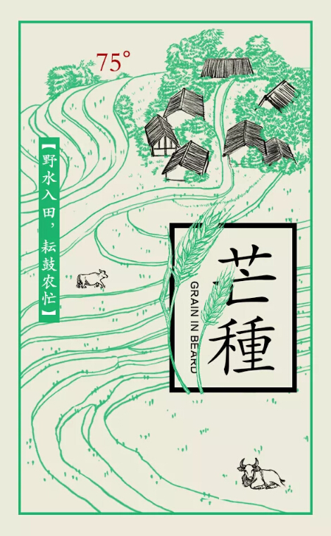 2018年6月借勢(shì)營(yíng)銷節(jié)點(diǎn)-芒種